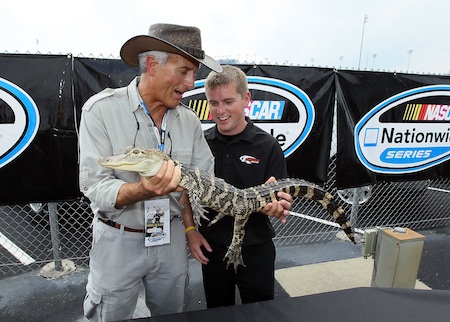 Jack Hanna of the Columbus Zoo and Justin “lil gator” Allgaier, driver of the No. 12 Verizon Wireless Dodge, holds an alligator in the Nationwide fan area.  (Credit: Andy Lyons/Getty Images)